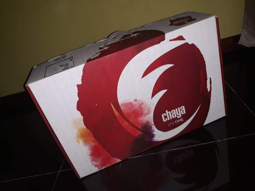 Rollerskating - 1 - Roller skating  on Aster Vender