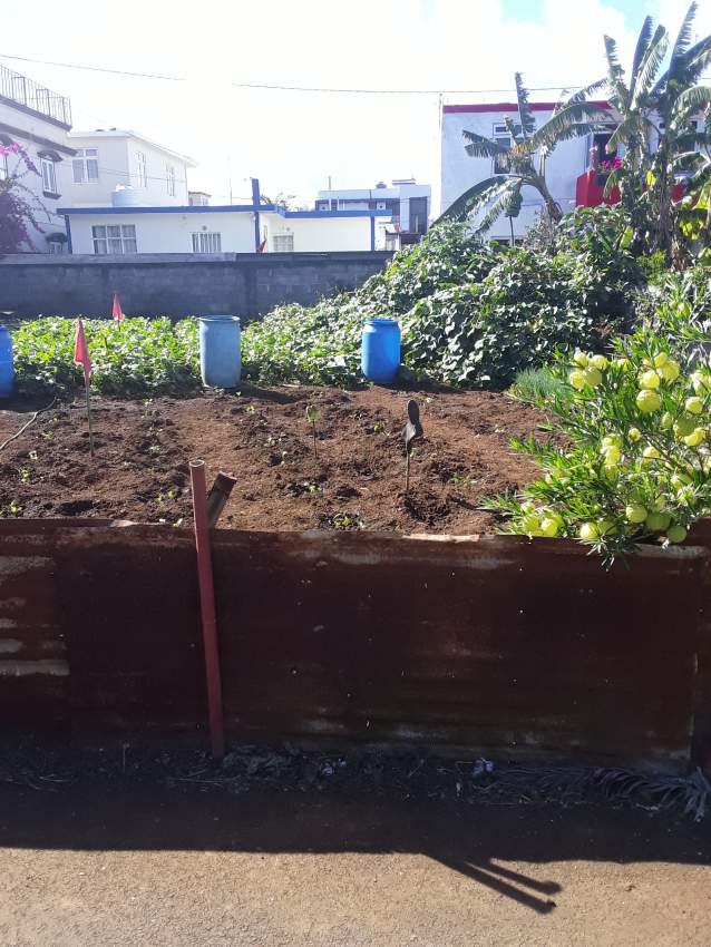 5 PERCHES SOLFERINO NO 3 VACOAS - 0 - Land  on Aster Vender