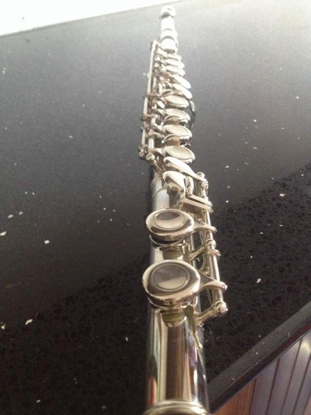 PROFESSIONAL FLUTE - 0 - Flute  on Aster Vender