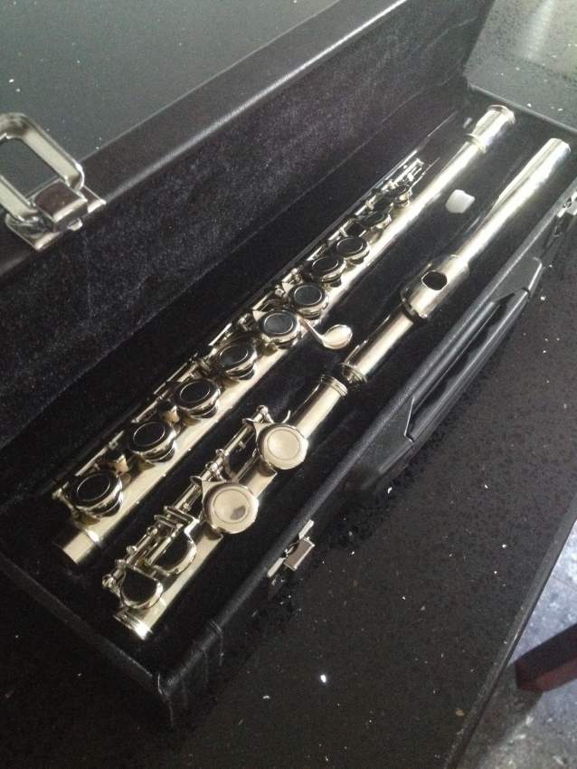 PROFESSIONAL FLUTE - 1 - Flute  on Aster Vender