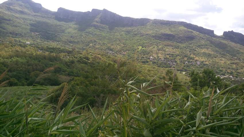 Agricultural Land of 2 arpents for sale on Aster Vender