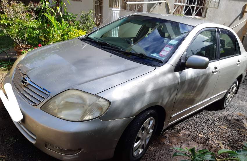 Toyota Corolla NZE - 1 - Family Cars  on Aster Vender
