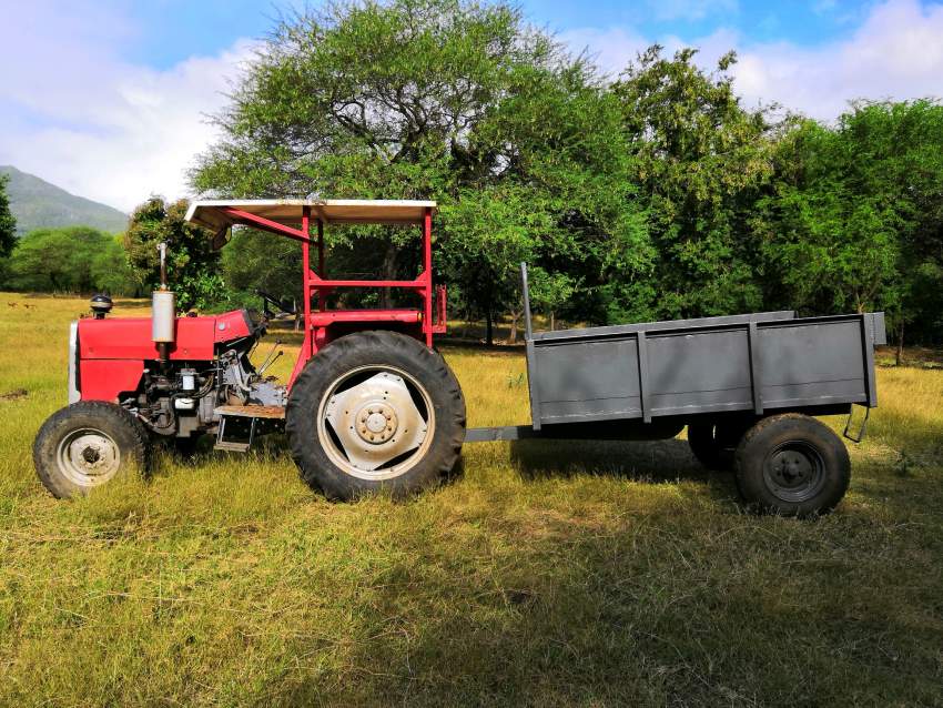 Tracteur Ferguson et remorque  - 1 - Tractor  on Aster Vender