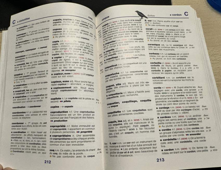 Dictionnaire - 1 - Dictionaries  on Aster Vender