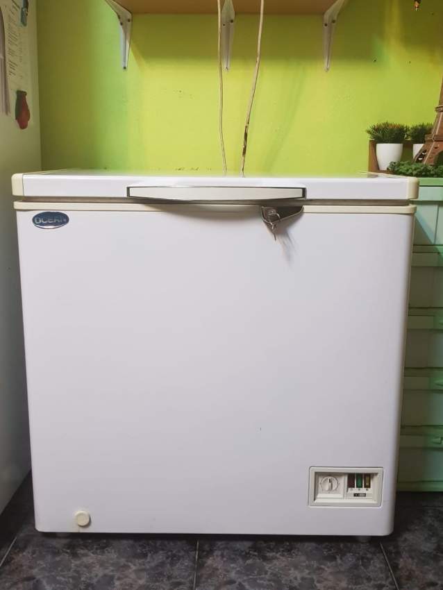 Freezer - 1 - Others  on Aster Vender