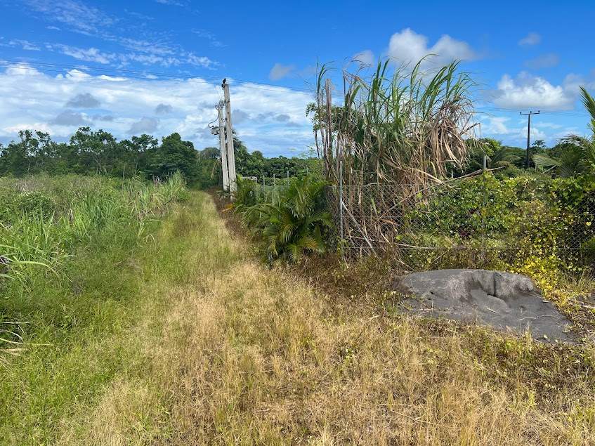 1 acre orchard for sale New Grove - 1 - Land  on Aster Vender