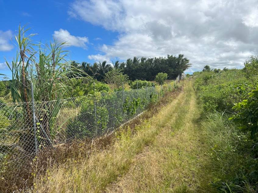 1 acre orchard for sale New Grove - 2 - Land  on Aster Vender