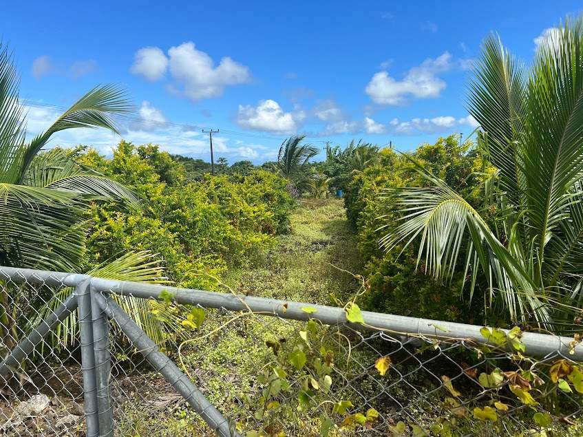 1 acre orchard for sale New Grove - 3 - Land  on Aster Vender