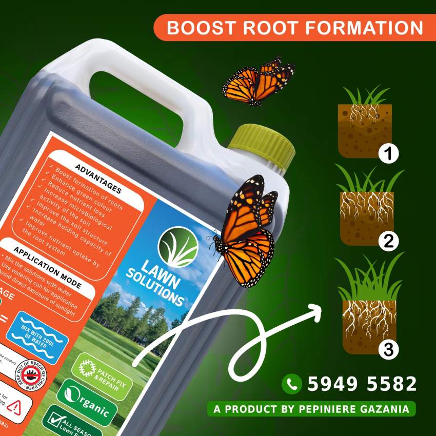 LAWN SOLUTION 5L - PROMO SALES - 1 - Plants and Trees  on Aster Vender