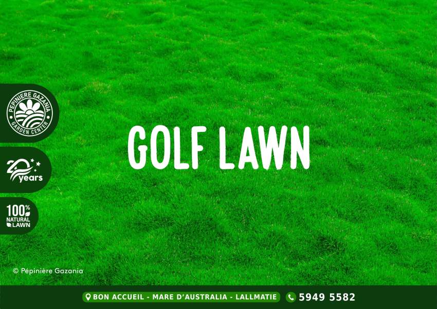 GOLF NATURAL LAWN - 50% OFF - 1 - Plants and Trees  on Aster Vender
