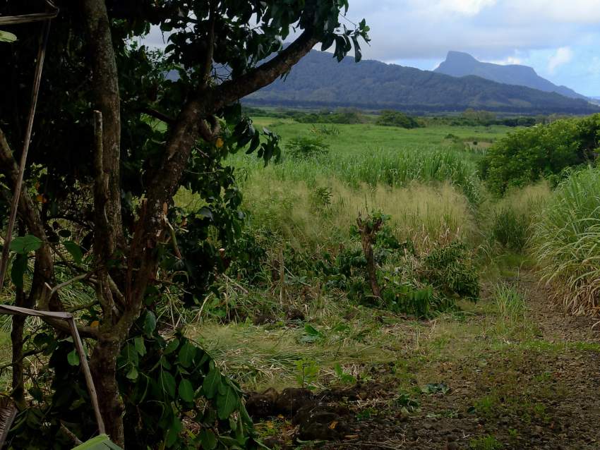 Land for sale - 1 - Land  on Aster Vender