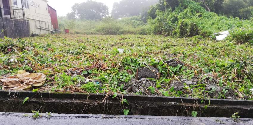 Land For Sale at Forest Side on Aster Vender