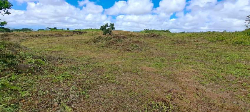 Agricultural land of 70 perches for sale - 2 - Land  on Aster Vender