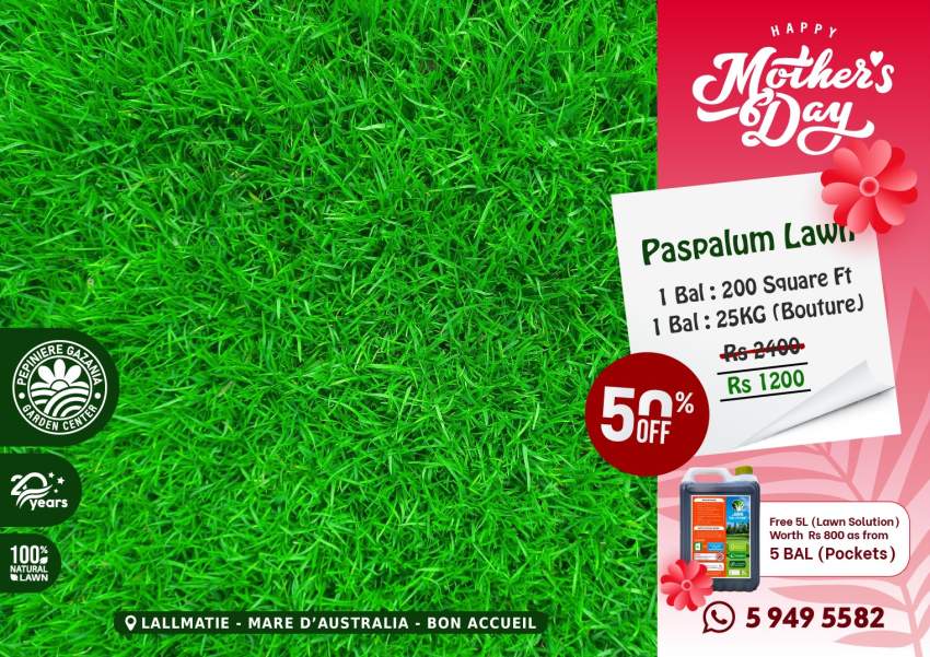 Paspalum Lawn - MOTHER'S DAY PROMO - 0 - Plants and Trees  on Aster Vender