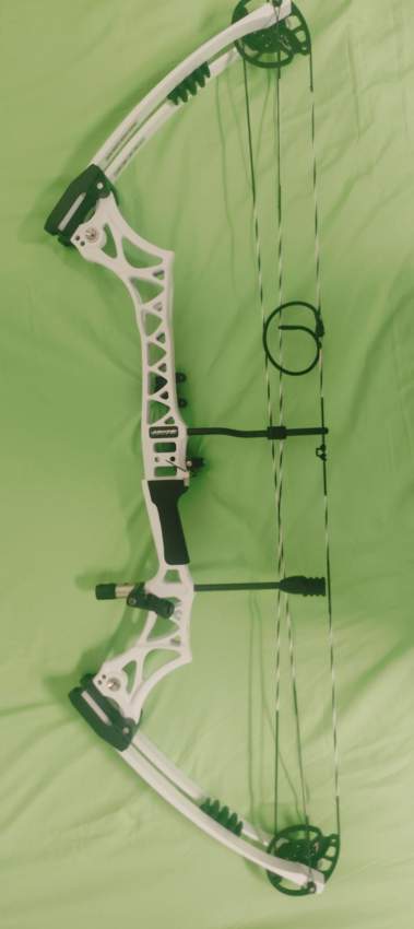 Compound target - 1 - Other Outdoor Sports & Games  on Aster Vender