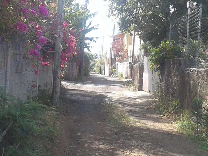 Terrain residentiel 18p a Grand gaube - 3 - Land  on Aster Vender