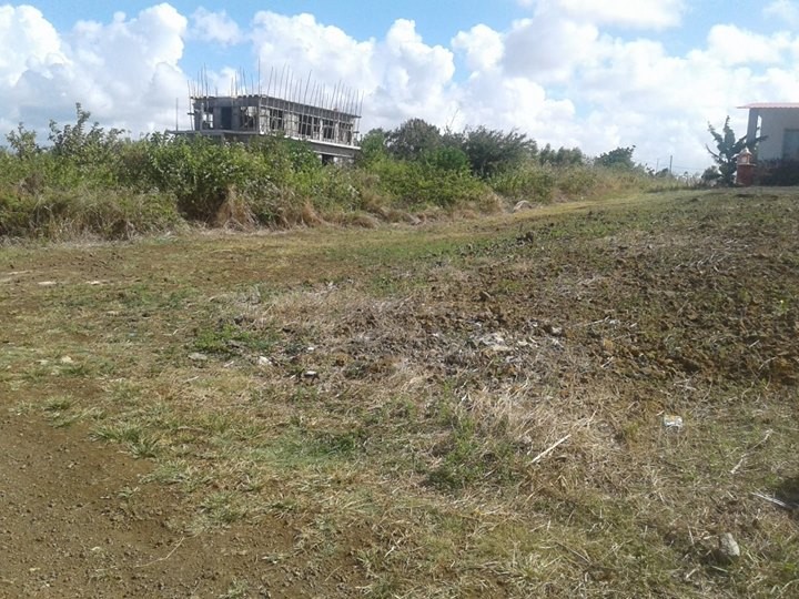 Terrain residentiel 18p a Grand gaube - 0 - Land  on Aster Vender