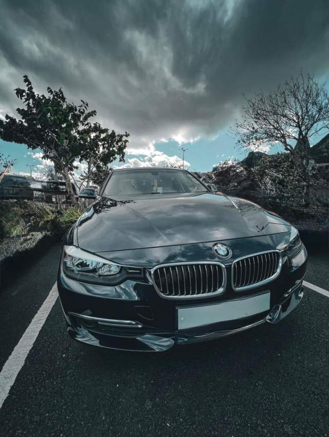 BMW 316i Luxury Line (2013) - 1 - Family Cars  on Aster Vender