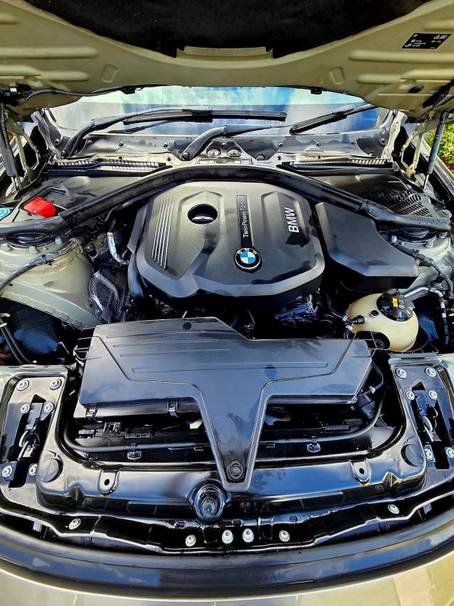 BMW 318i F30 – 2016 luxury - 2 - Family Cars  on Aster Vender