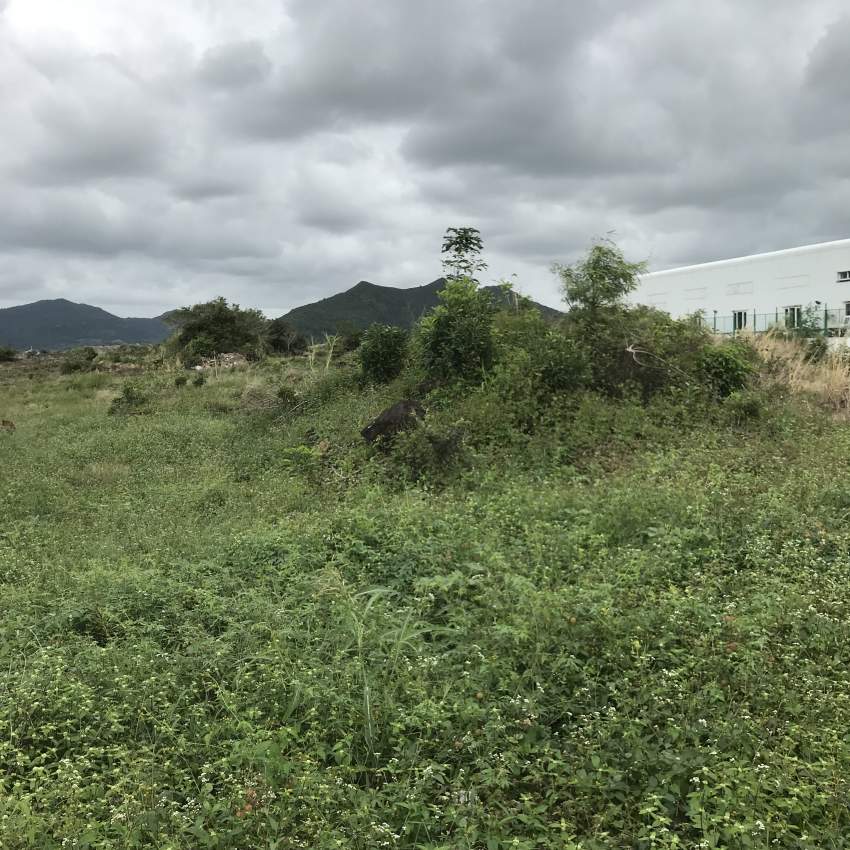 Land  - 0 - Land  on Aster Vender