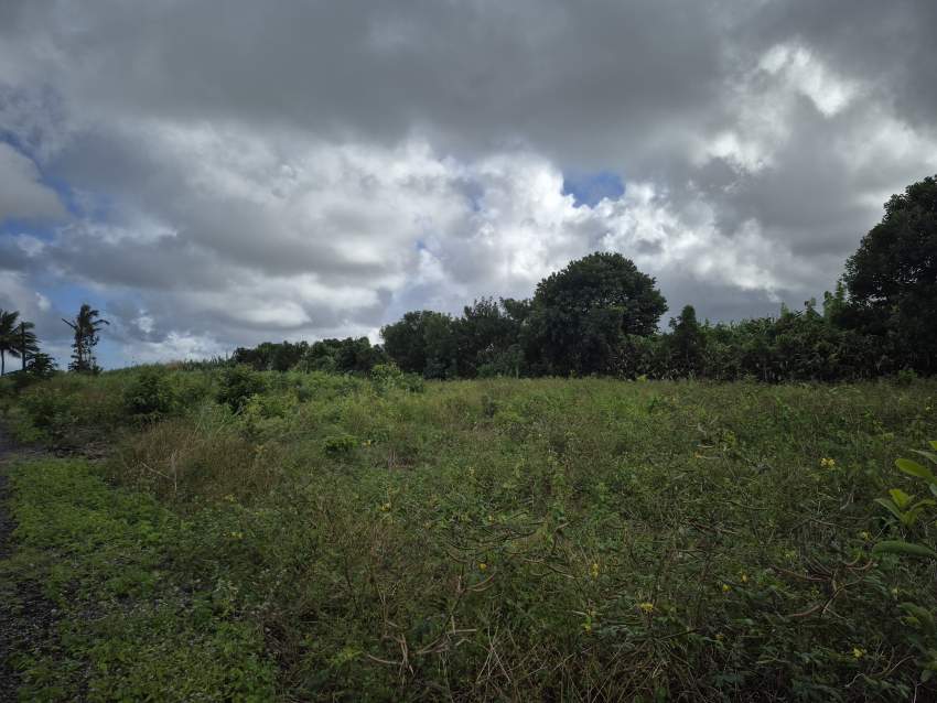 Residential land for sale at Mare D'Albert - 0 - Land  on Aster Vender