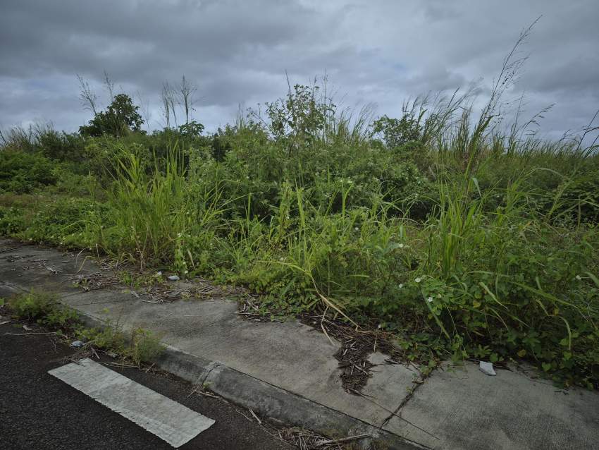 Residential land for sale at Gris Gris - 0 - Land  on Aster Vender