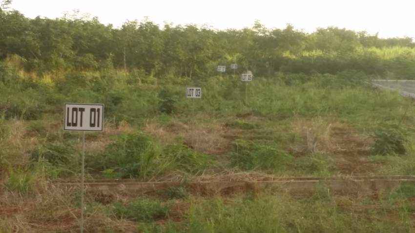Belle portion de terrain à Balaclava - 1 - Land  on Aster Vender