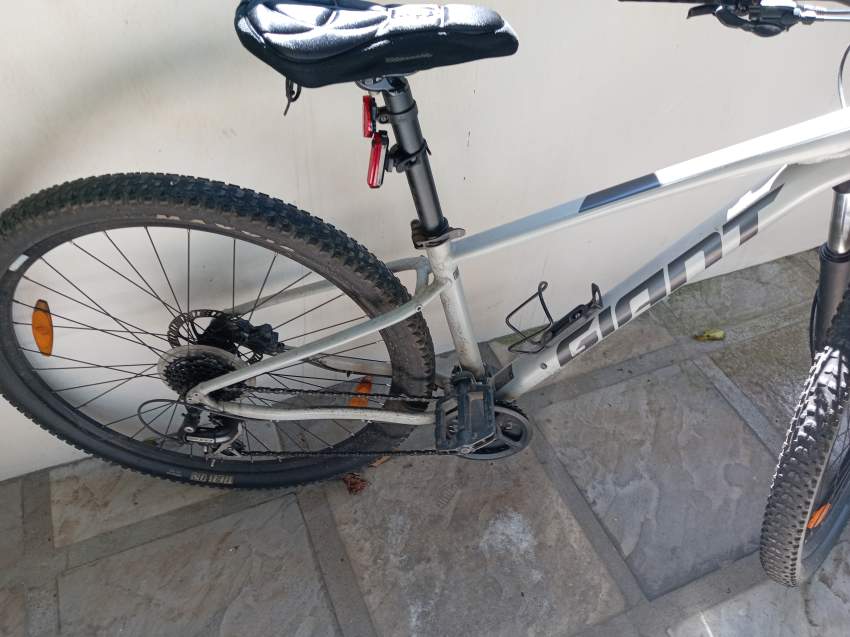 Giant bicycle on Aster Vender