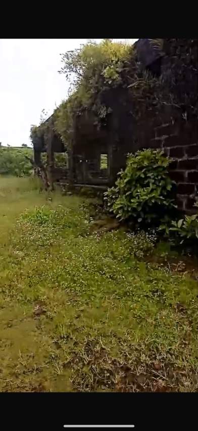 Agricultural land for sale in the region of Bois Cheri - 1 - Land  on Aster Vender