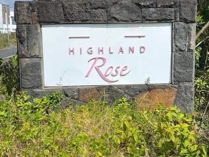 Highland rose - 0 - Land  on Aster Vender