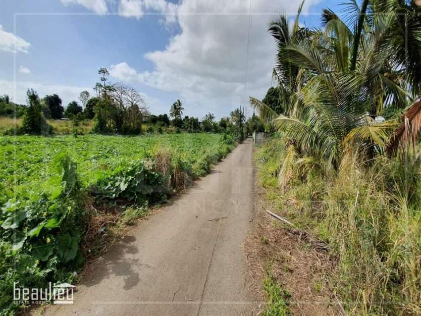 Residential land of 25 perches is for sale in L'Espérance Trébuchet - 2 - Land  on Aster Vender