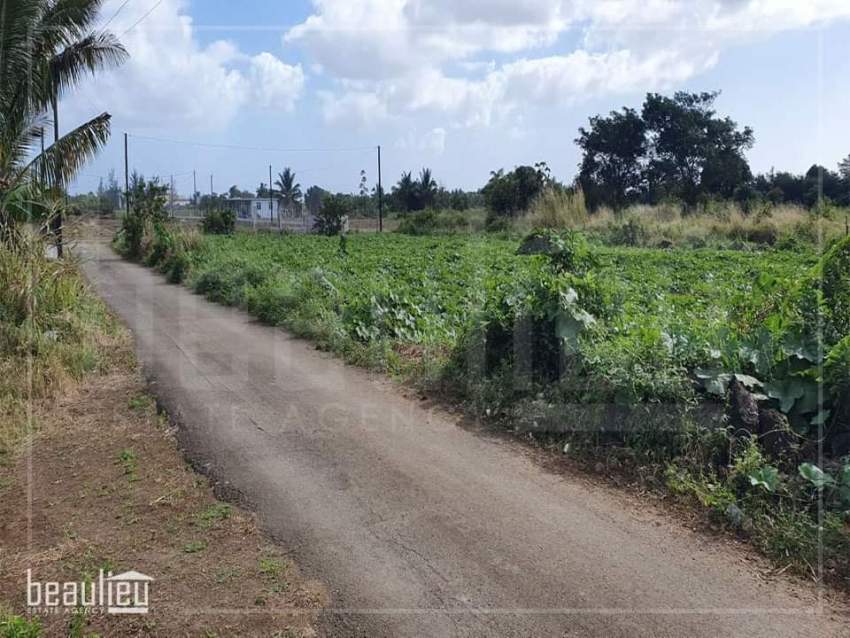 Residential land of 25 perches is for sale in L'Espérance Trébuchet - 4 - Land  on Aster Vender