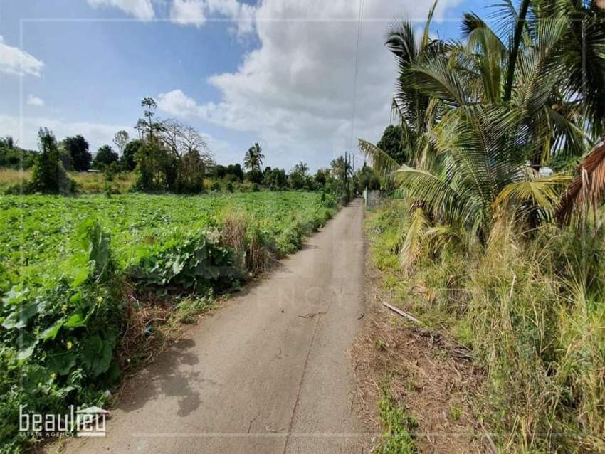 Residential land of 25 perches is for sale in L'Espérance Trébuchet - 3 - Land  on Aster Vender