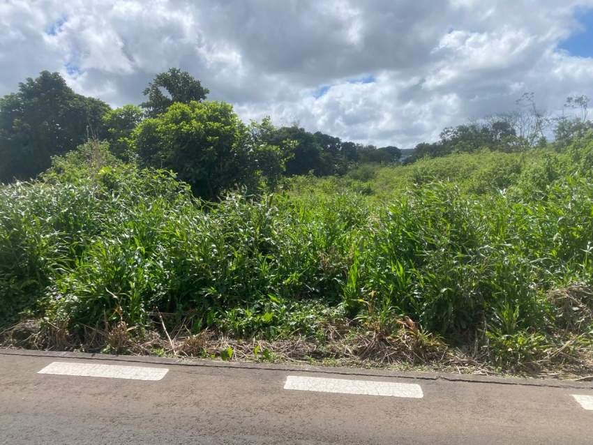 Land - 0 - Land  on Aster Vender