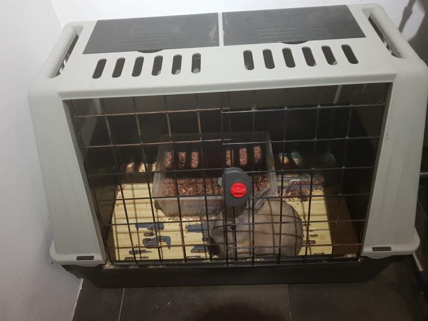 cage pour le chien ou autres animaux - 0 - Pets supplies & accessories  on Aster Vender