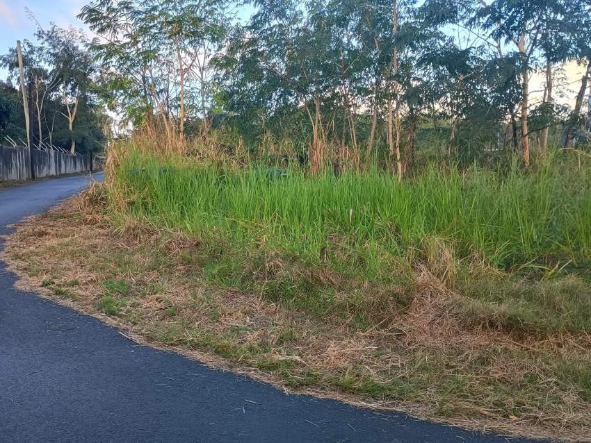 LAND FOR SALE - 3 - Land  on Aster Vender