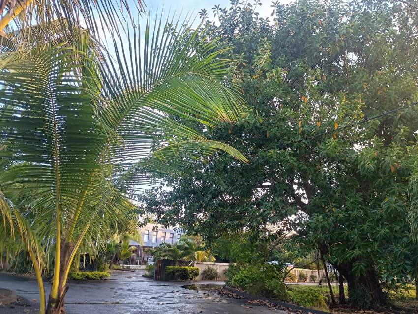 LAND FOR SALE - 4 - Land  on Aster Vender