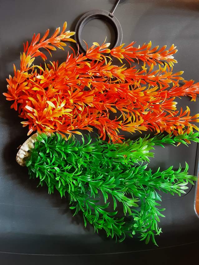 Fish tanks, fish and accessories for sale! - 3 - Aquarium  on Aster Vender