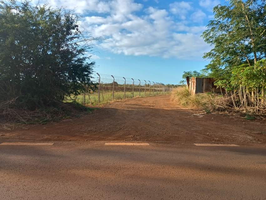 AGRICULTURE LAND FOR SALE - 0 - Land  on Aster Vender