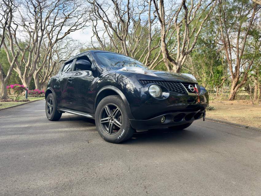 Nissan Juke 2013