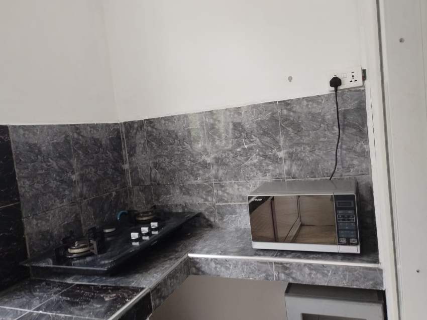 Spacious 1 Bedroom Apartment - 1 - Apartments  on Aster Vender