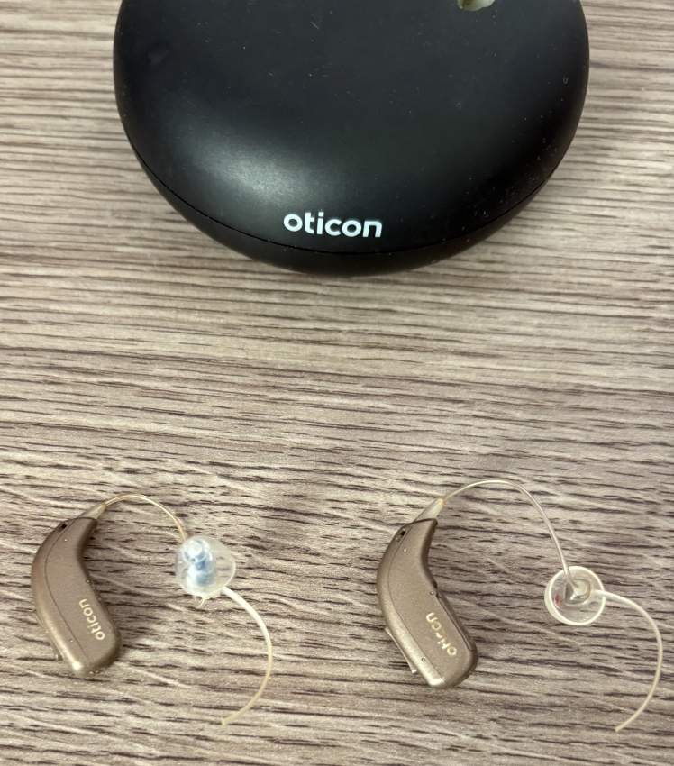 Hearing Aid
