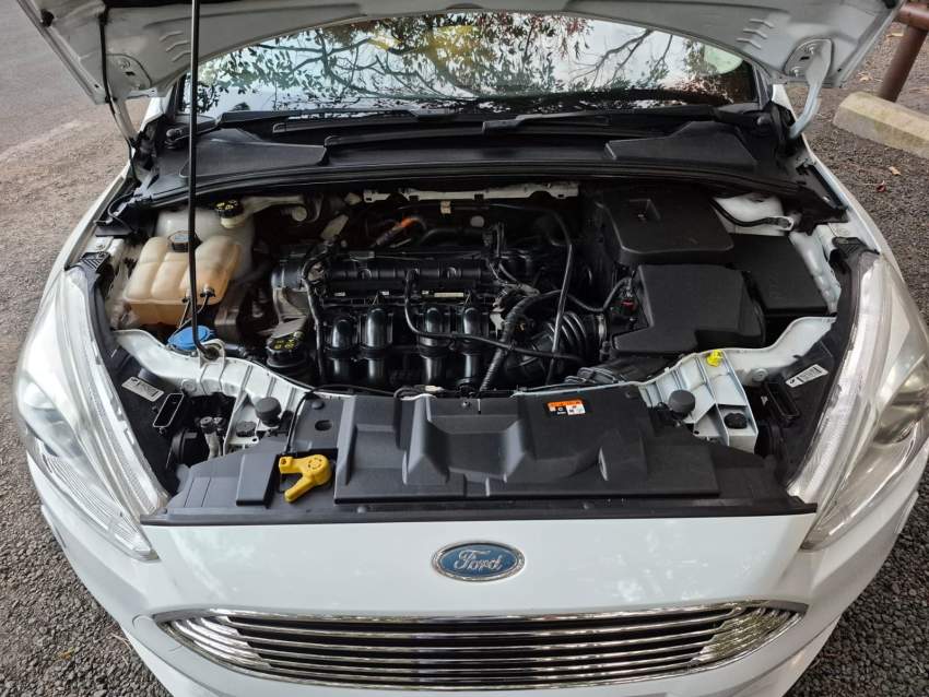 Ford Focus Titanium – 2017 - 1 - Family Cars  on Aster Vender
