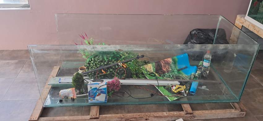 Aquarium - 0 -  Aquarium fish  on Aster Vender