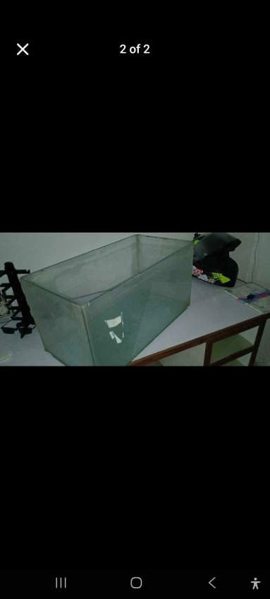 Aquatium - 1 -  Aquarium fish  on Aster Vender