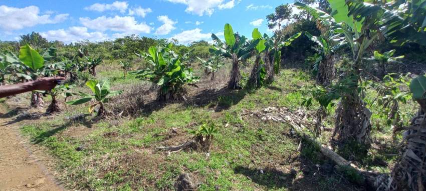 Terrain Agricole - Pont Bondieu