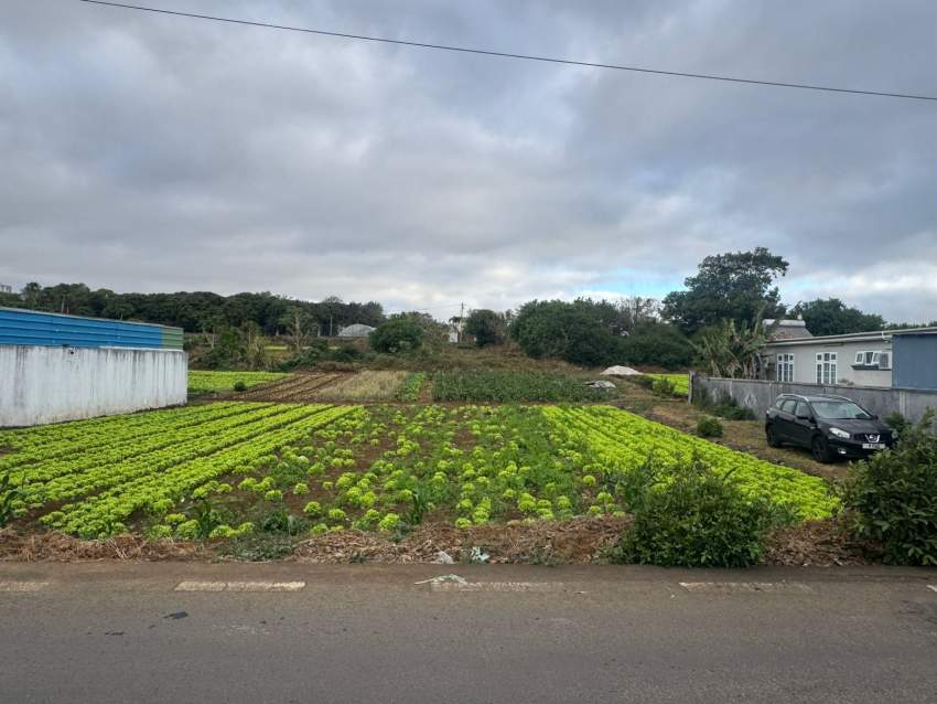 15 perches Main Road Carreau Lalliane on Aster Vender