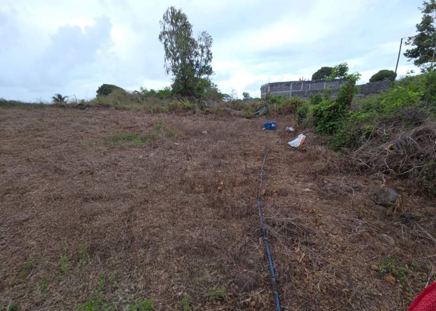 Land - 4 - Others  on Aster Vender