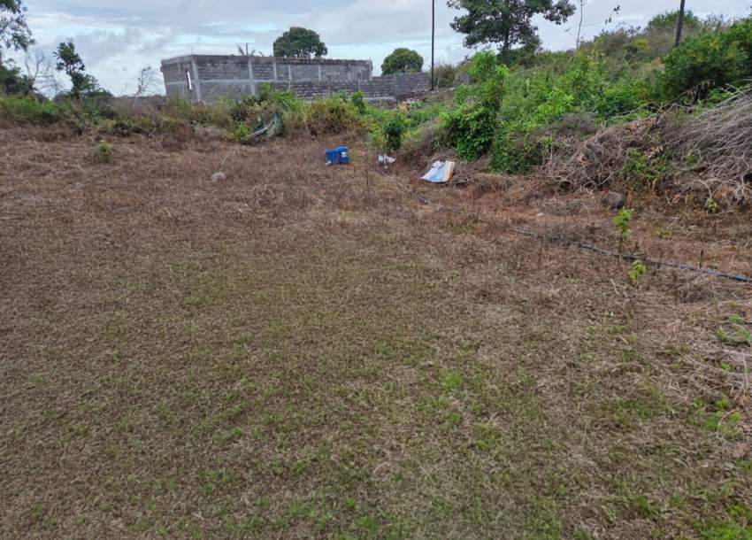 Land - 2 - Others  on Aster Vender