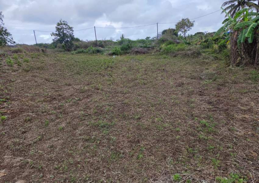 Land - 3 - Others  on Aster Vender